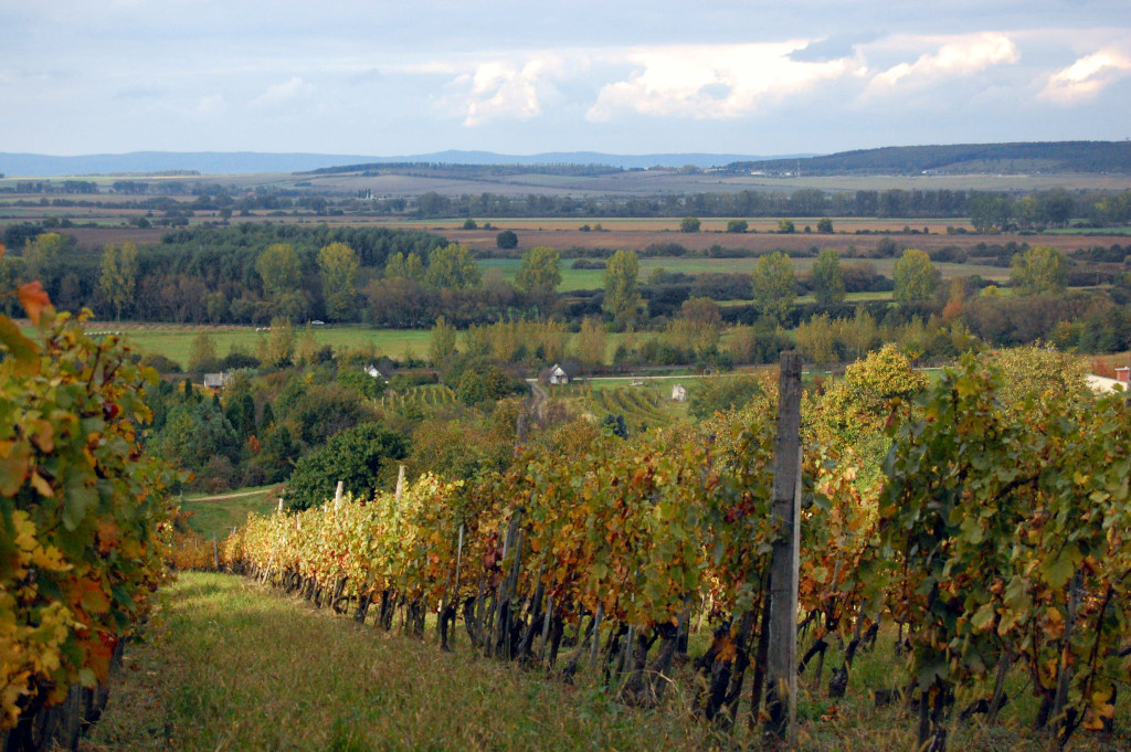 Agricultural